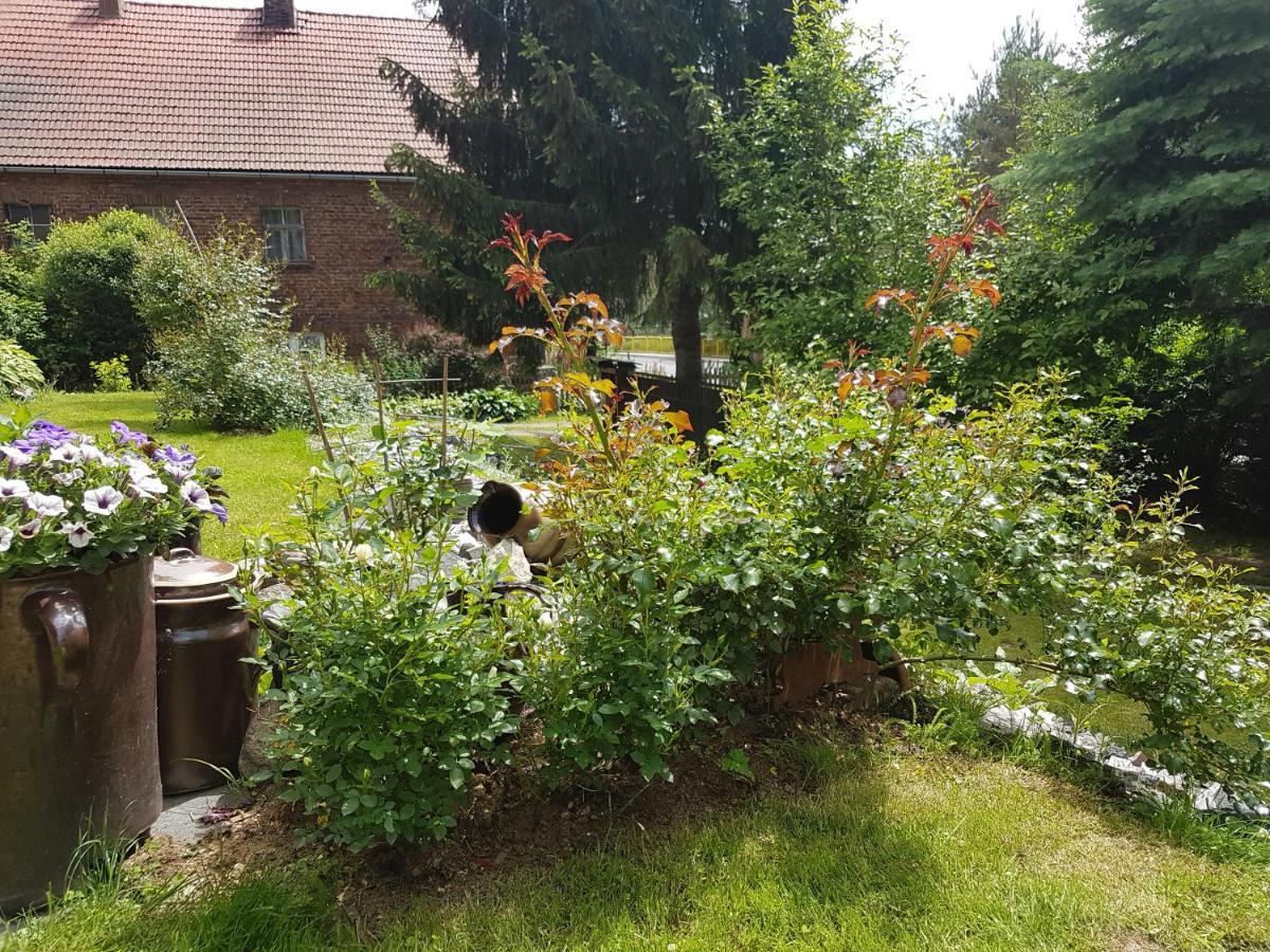 Ferienwohnung Wczasowisko Karola Lubomierz  Exterior foto
